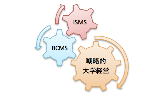 xms-fig1